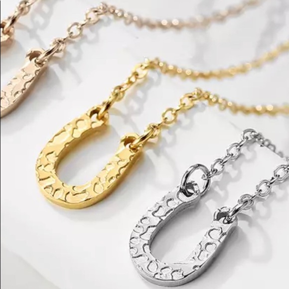 - 🌟HOST PICK🌟New Stainless Steel Horseshoe Necklace - Picture 3 of 9
